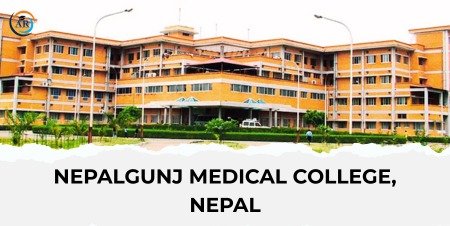 WhatsApp Image 2025-08-28 at 3.10.48 PM