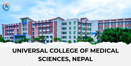 WhatsApp Image 2025-08-28 at 3.46.02 PM