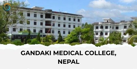 WhatsApp Image 2025-08-28 at 3.57.17 PM